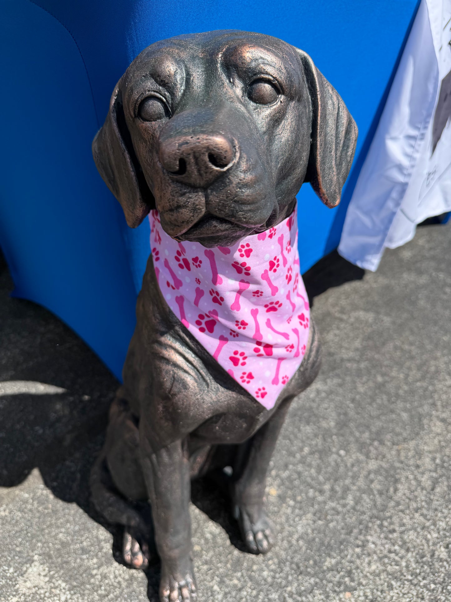 Pink Bones Scrunchie Dog Bandana