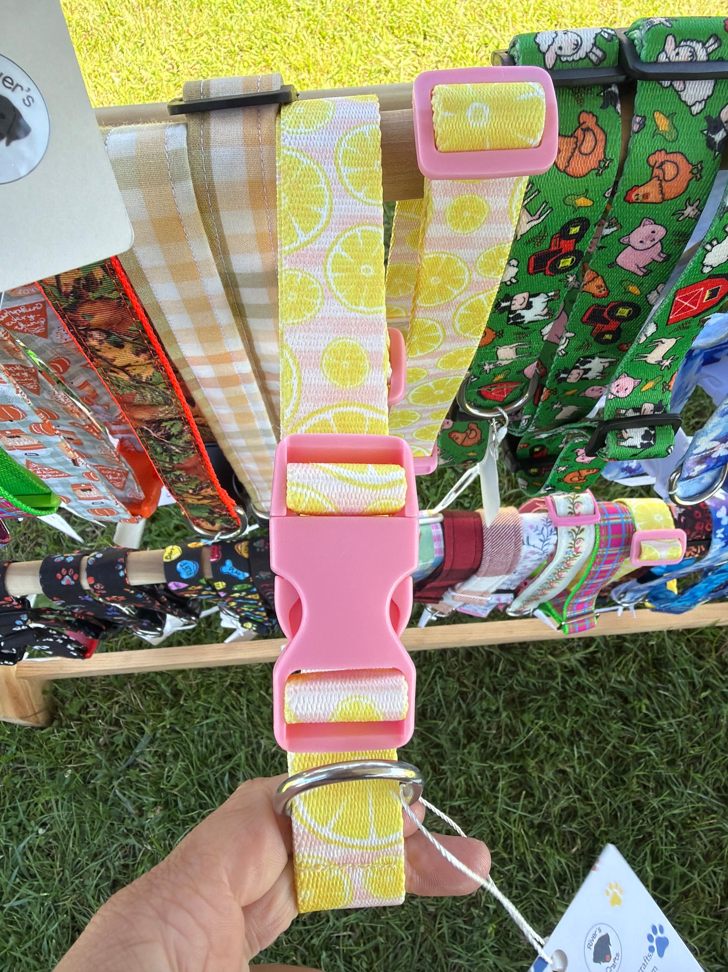 Pink Lemonade dog collar