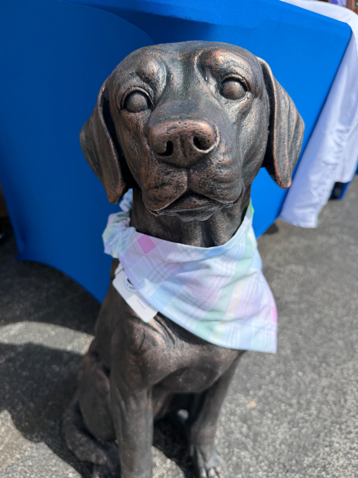Diagonal Pastel Plaid Dog Scrunchie Bandana