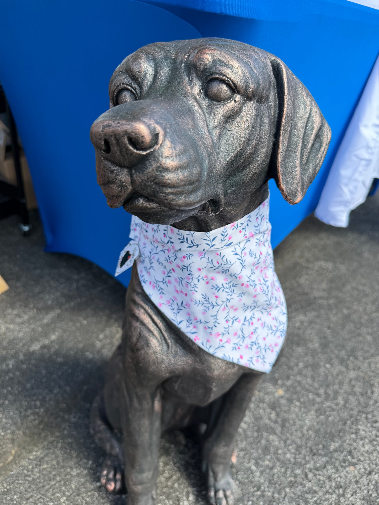 Navy & Pink Floral Scrunchie Dog Bandana