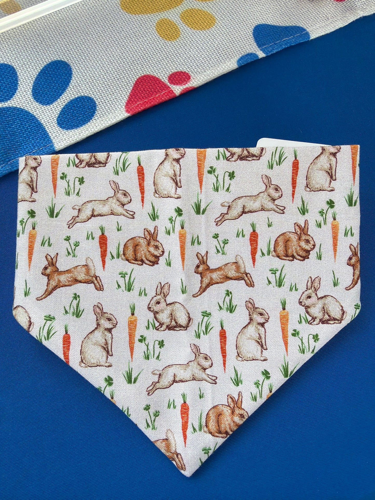 Bunny & Carrot