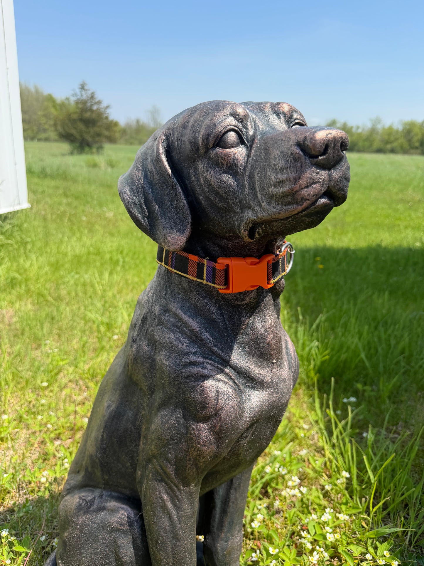 Black, orange & Purple Plaid Cotton Dog Collar
