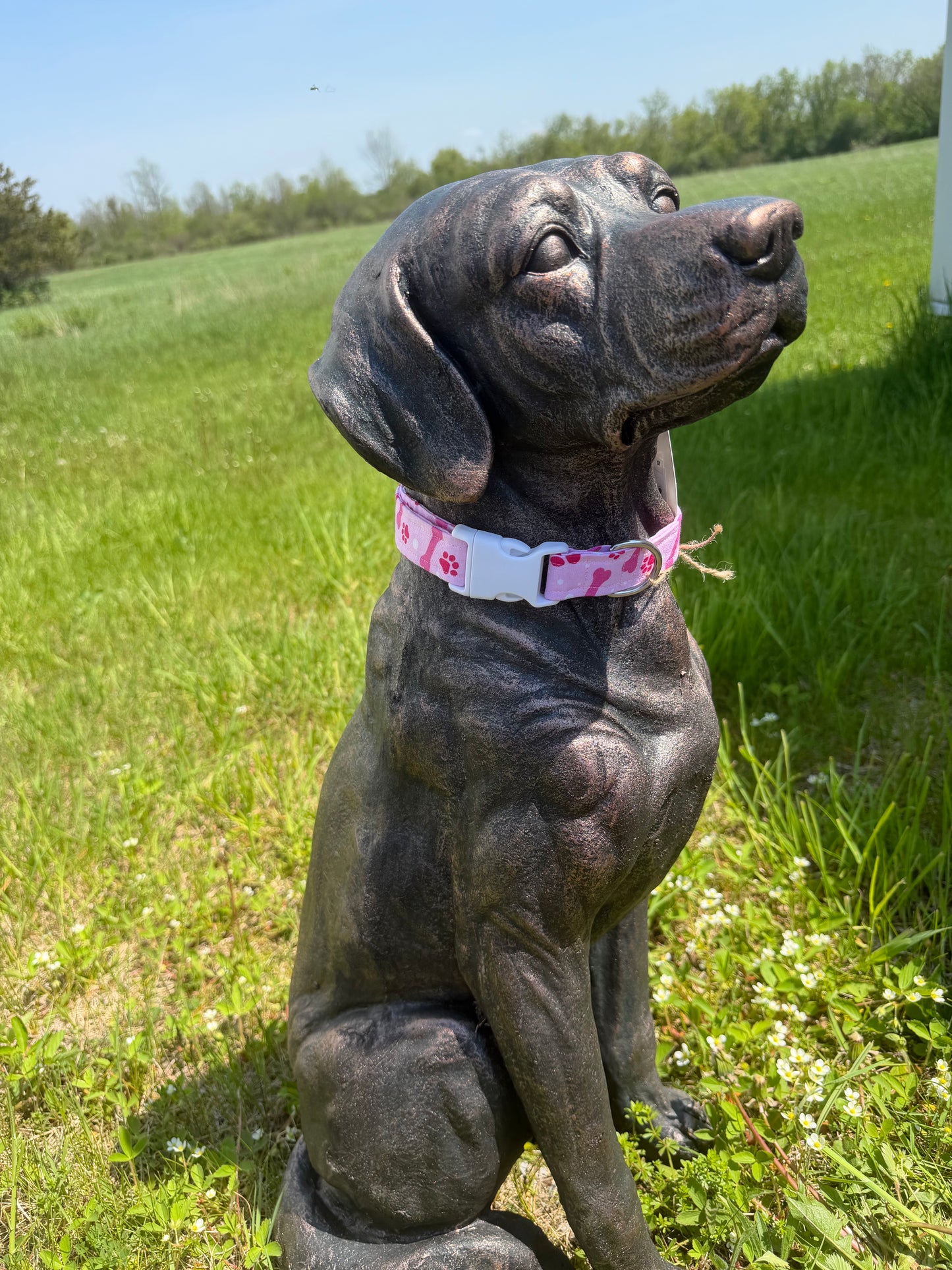 Light Pink Bones Cotton Dog Collar