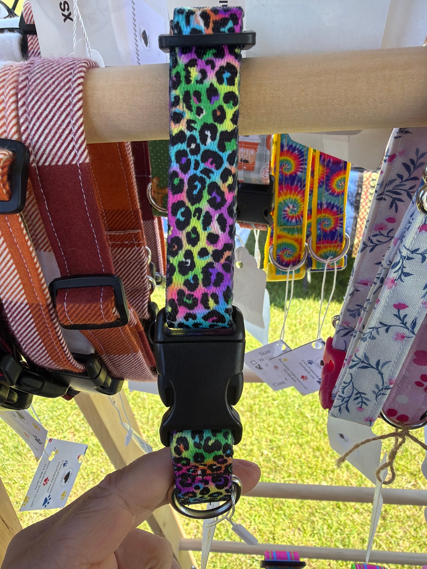Rainbow cheetah print dog collar