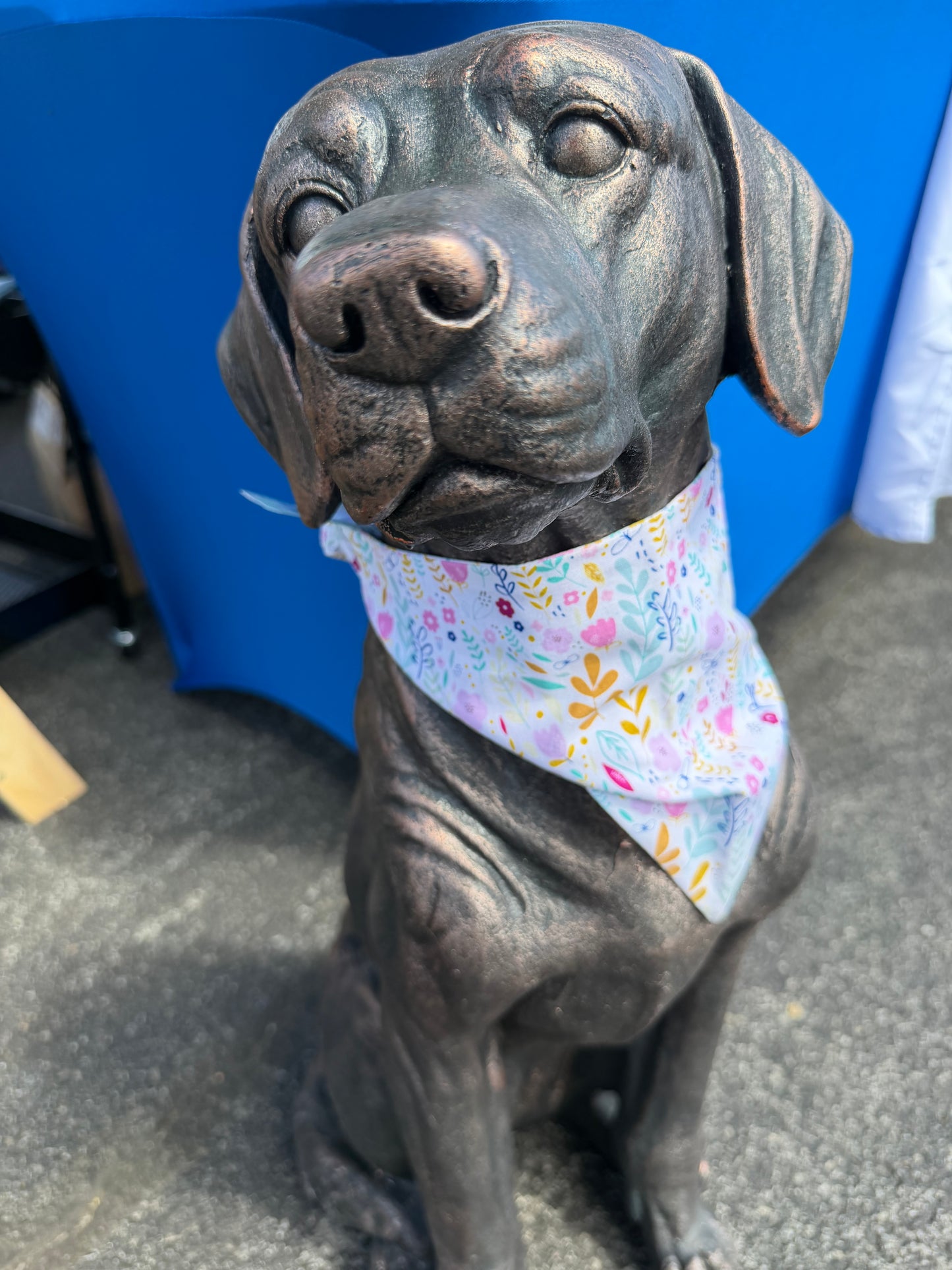 Pink & Teal Floral Scrunchie Dog Bandana