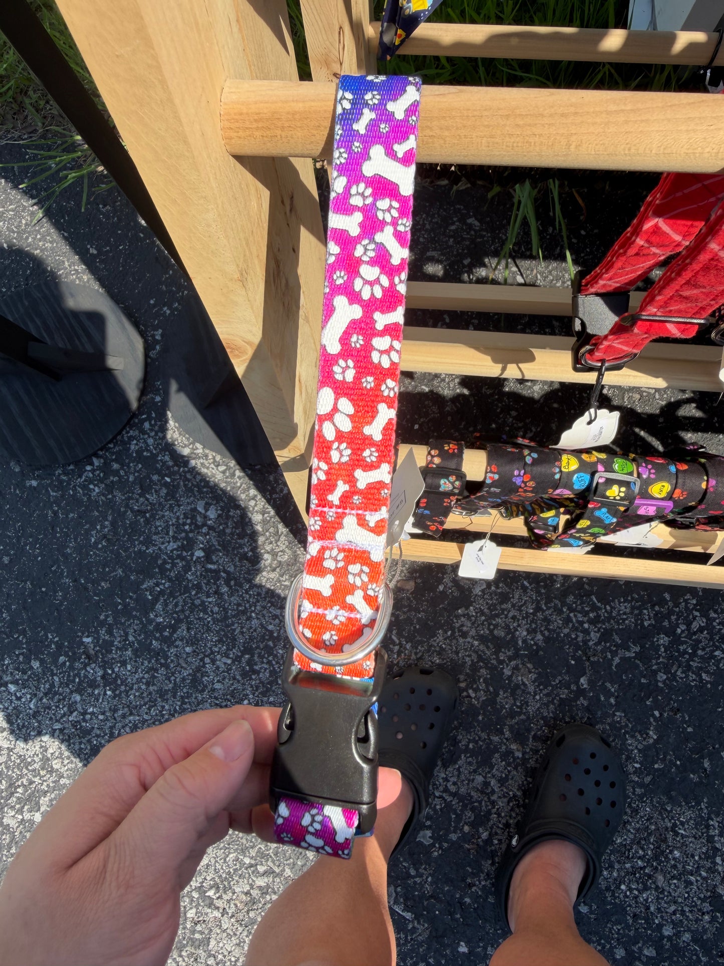 Paw & Bone Rainbow Tie Dye Dog Collar