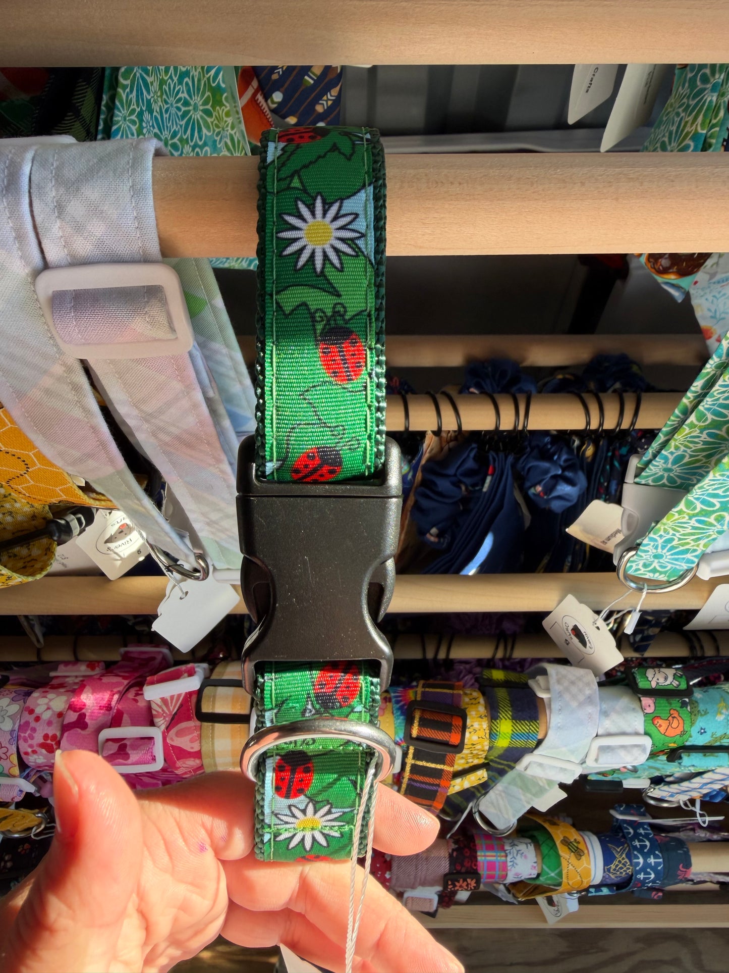 Ladybug dog collar