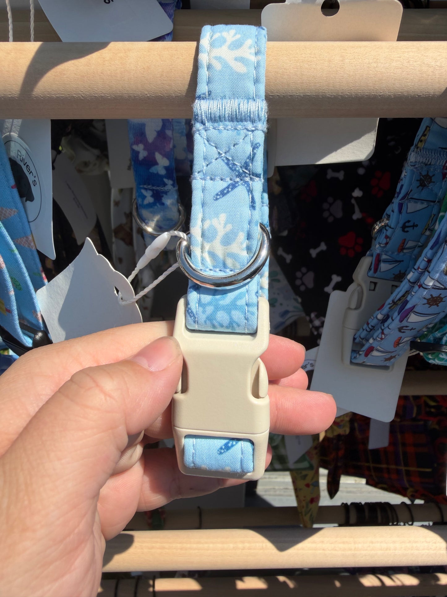 Blue Starfish Dog Collar