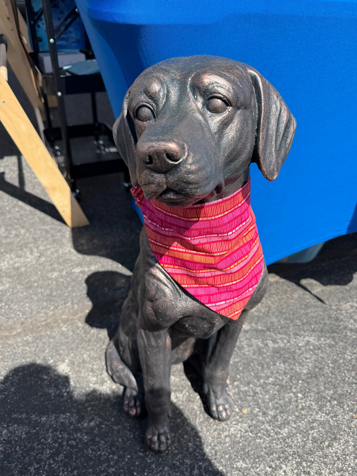 Pink Stripes Scrunchie Dog Bandana