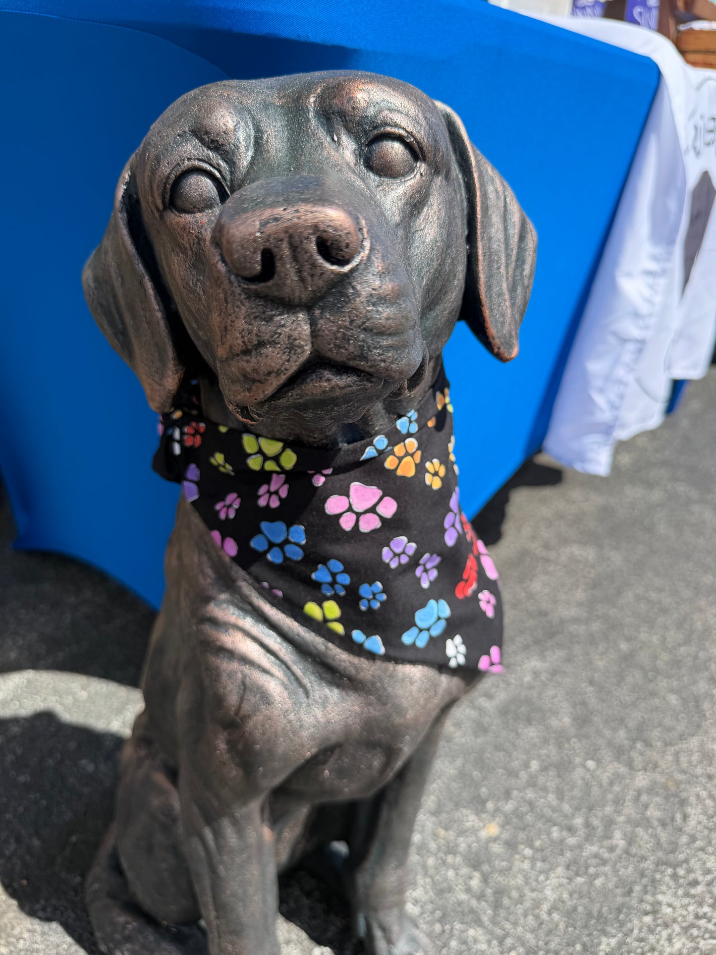 Rainbow Paw print Scrunchie Dog Bandana