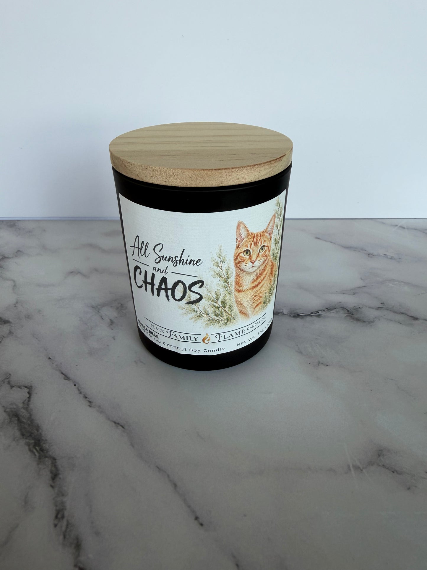 All Sunshine and Chaos Ginger Cat Vanilla Candle