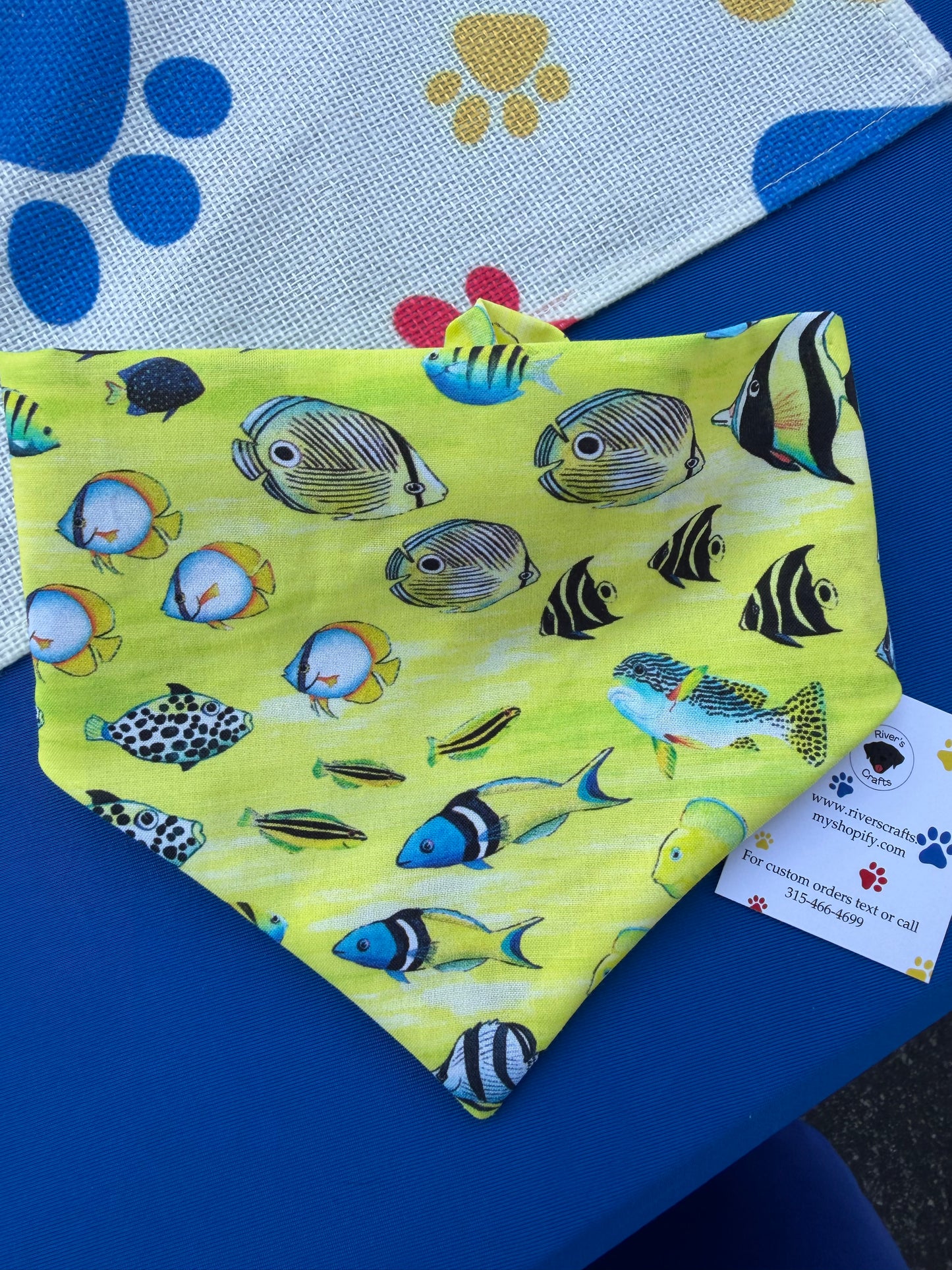 Yellow Fish Scrunchie dog bandana