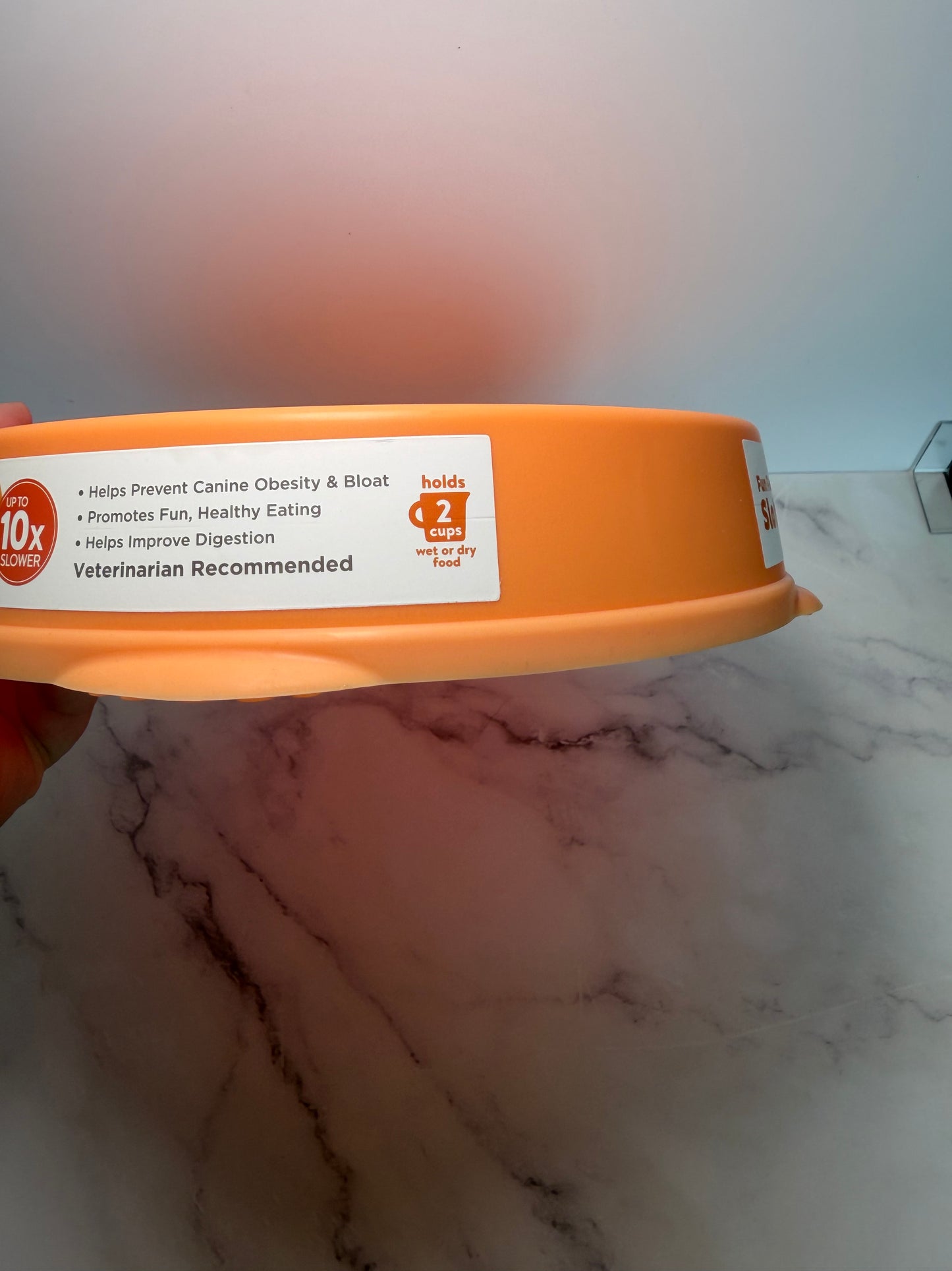 Slow feeder bowl