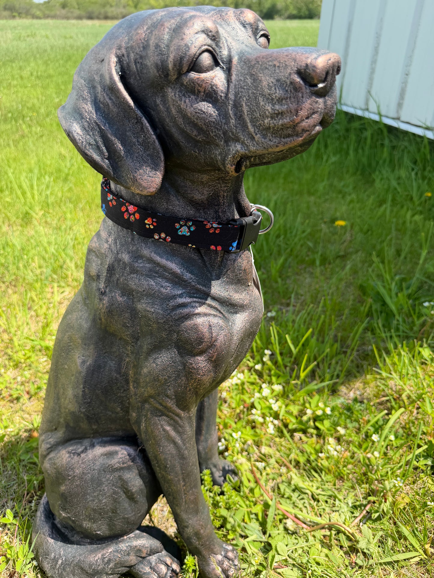 Black, orange, and blue paw print dog collar