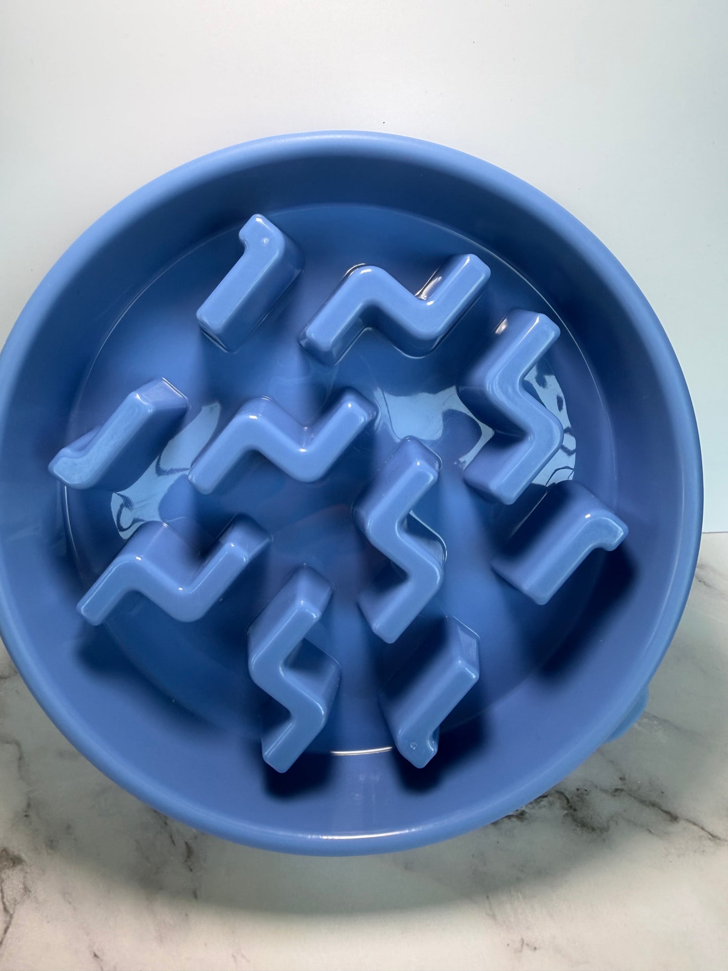 Slow feeder bowl