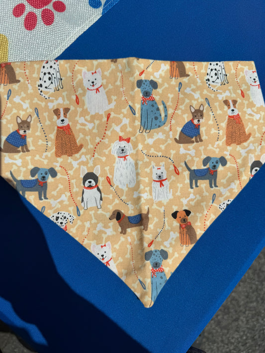 Orange Dog Scrunchie Dog Bandana