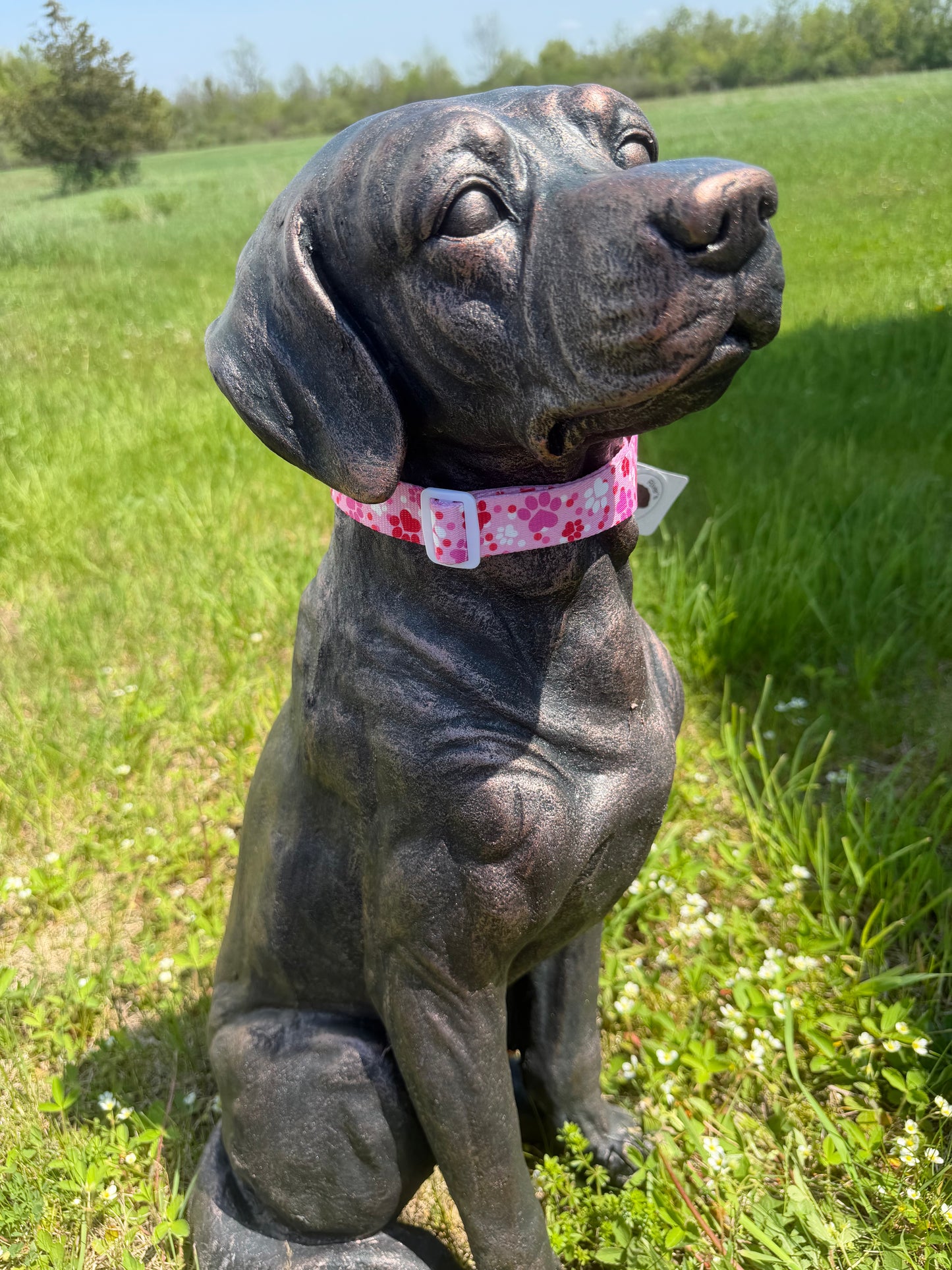 Pink Heart Paws Nylon Webbing Dog Collar