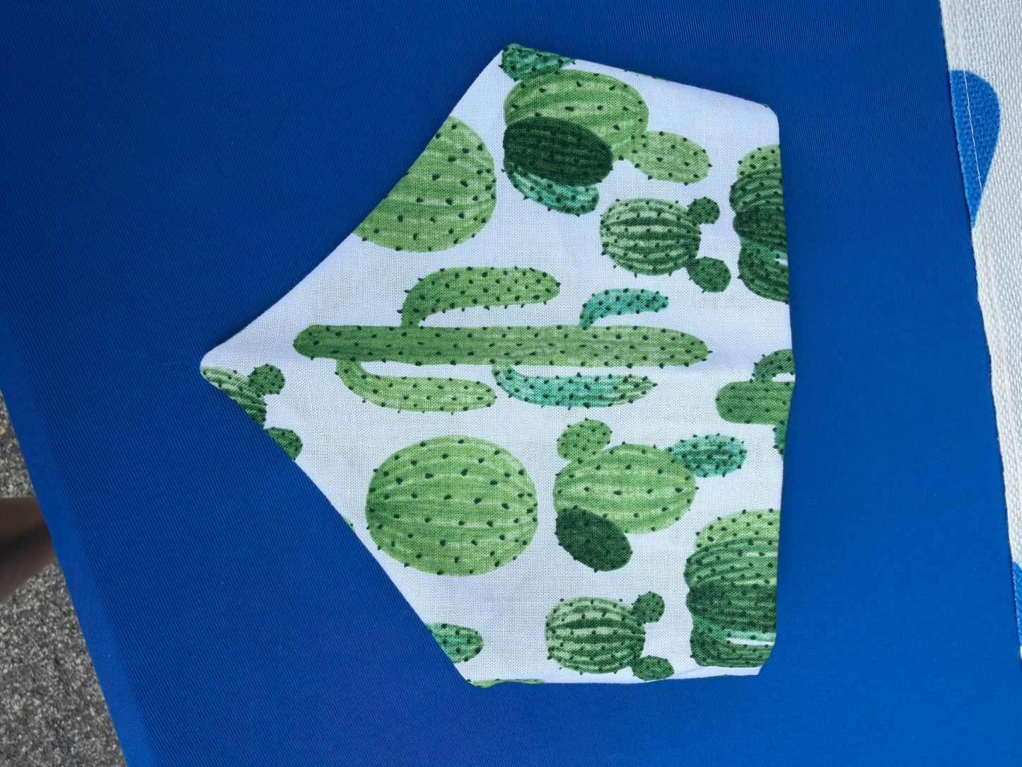 Cactus Scrunchie Dog Bandana