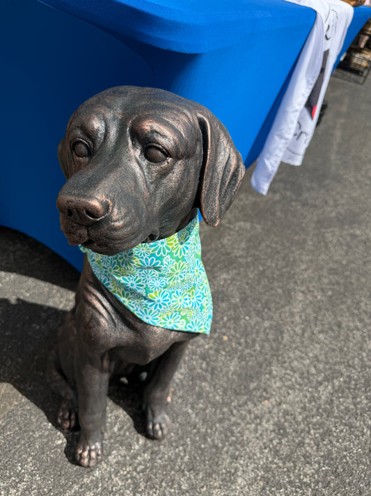 Teal Daisy Scrunchie Dog Bandanas
