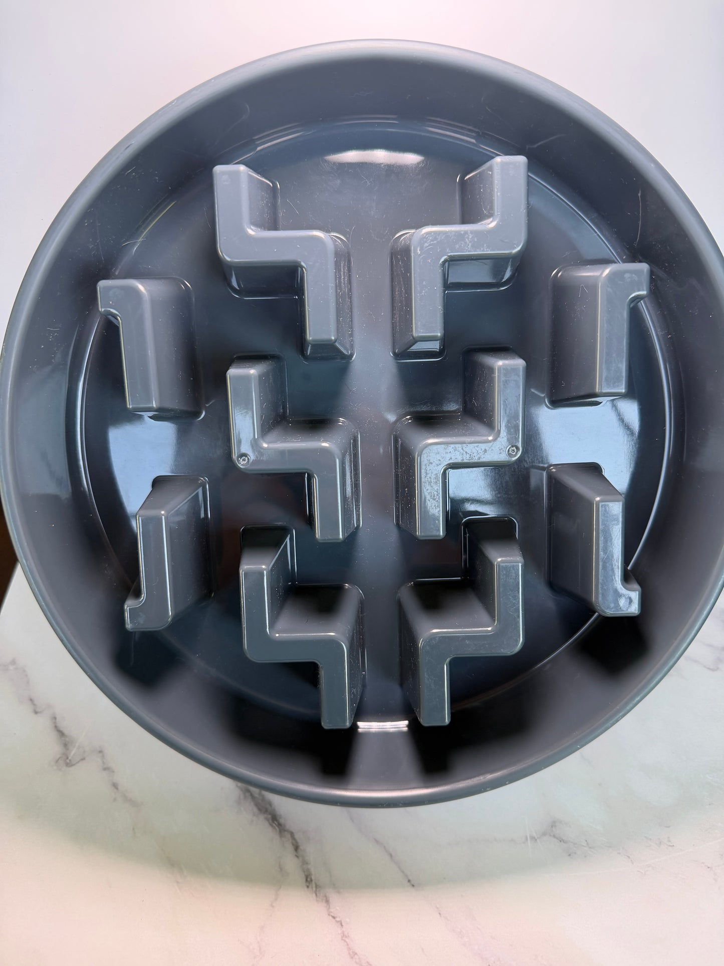 Slow feeder bowl
