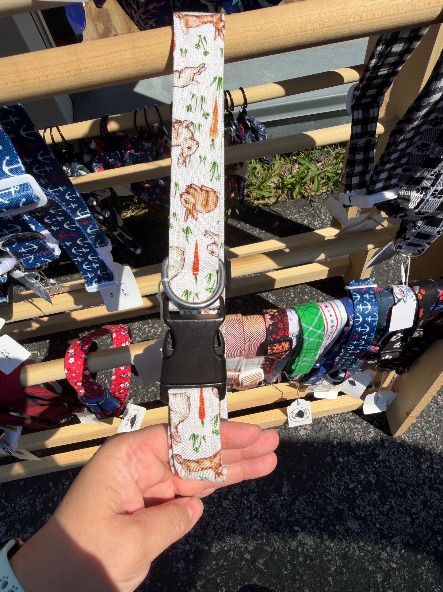 Bunny & Carrot Dog Collar