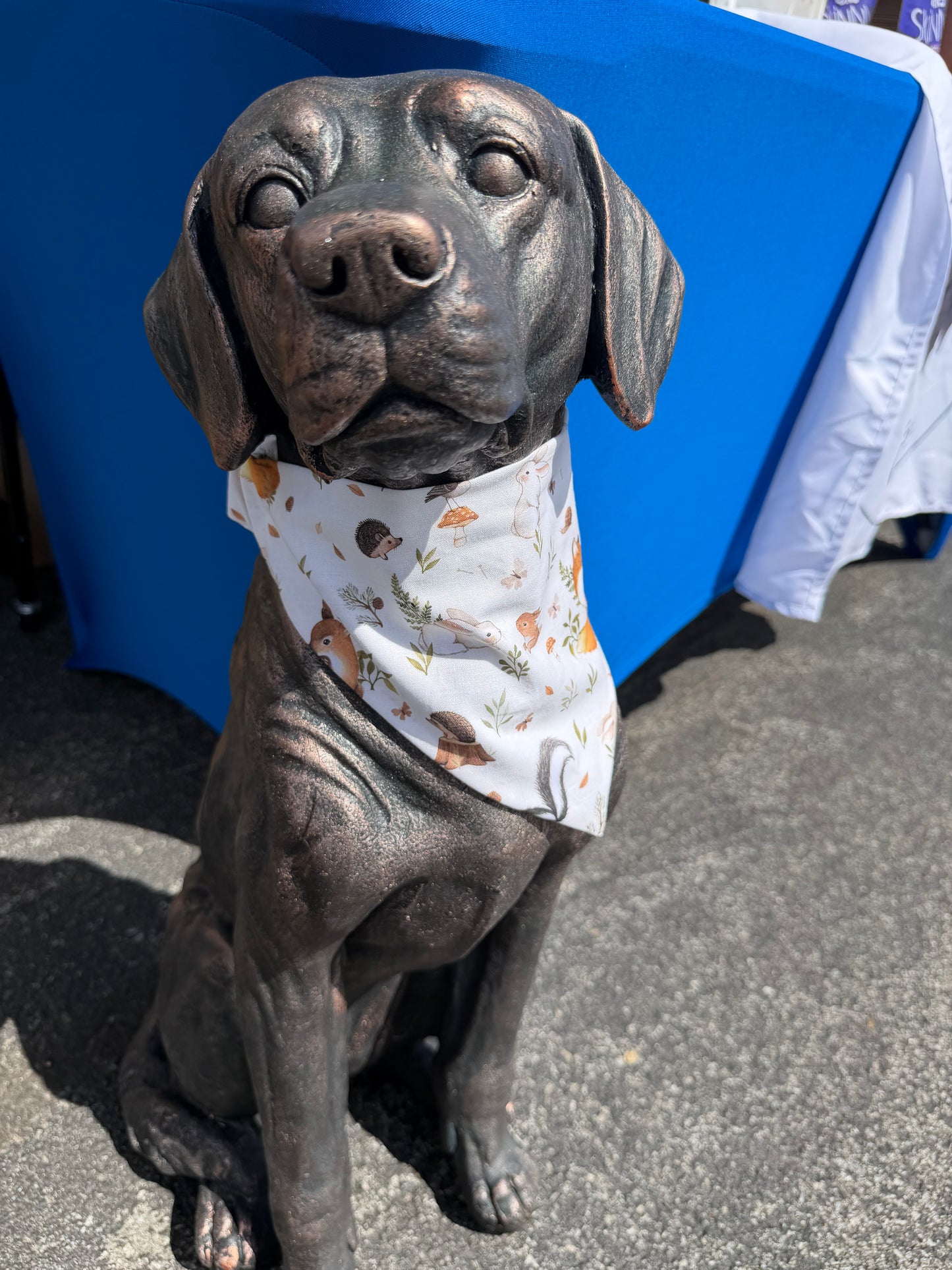 Woodland Scrunchie Dog Bandana