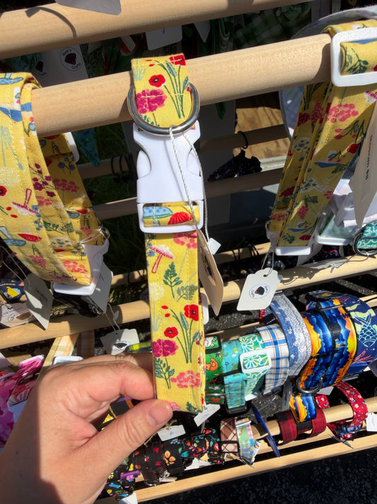 Yellow Mushroom Dog Collar