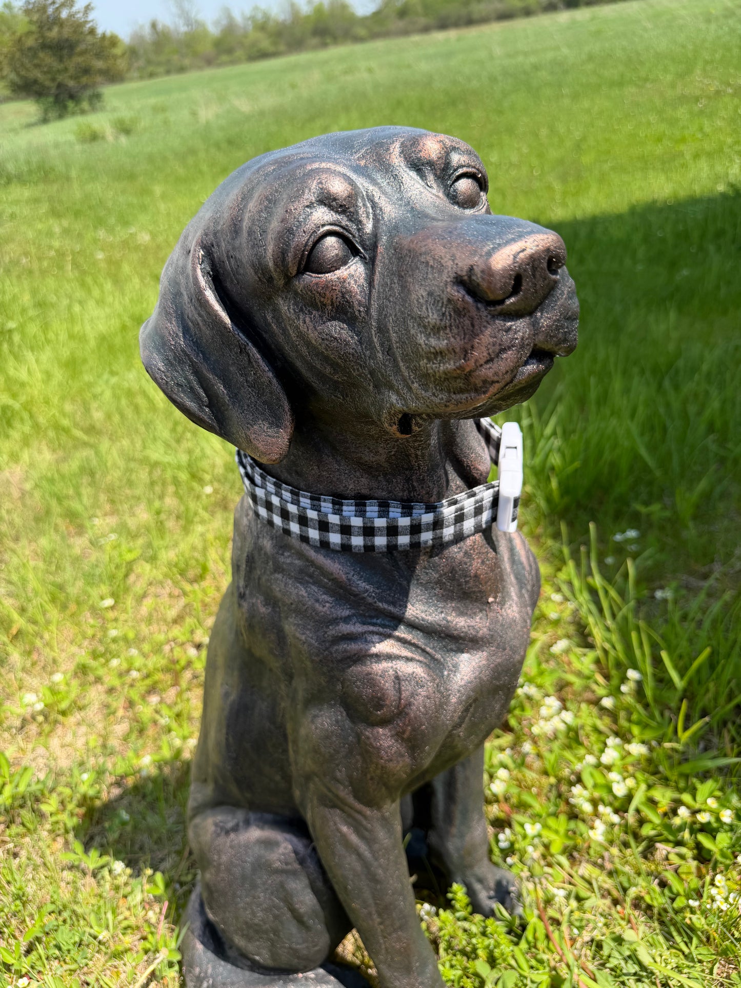 Black Plaid Dog Collar