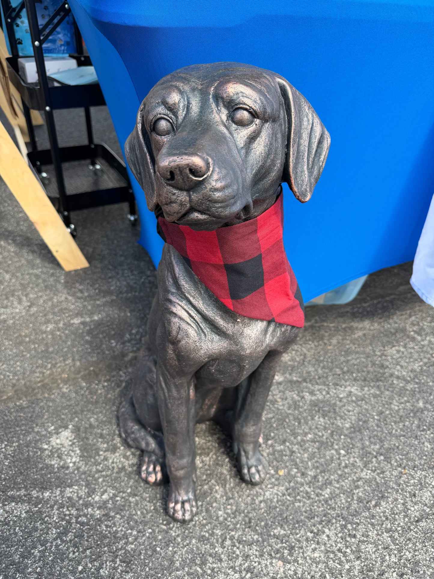 Red Plaid Scrunchie Dog Bandana