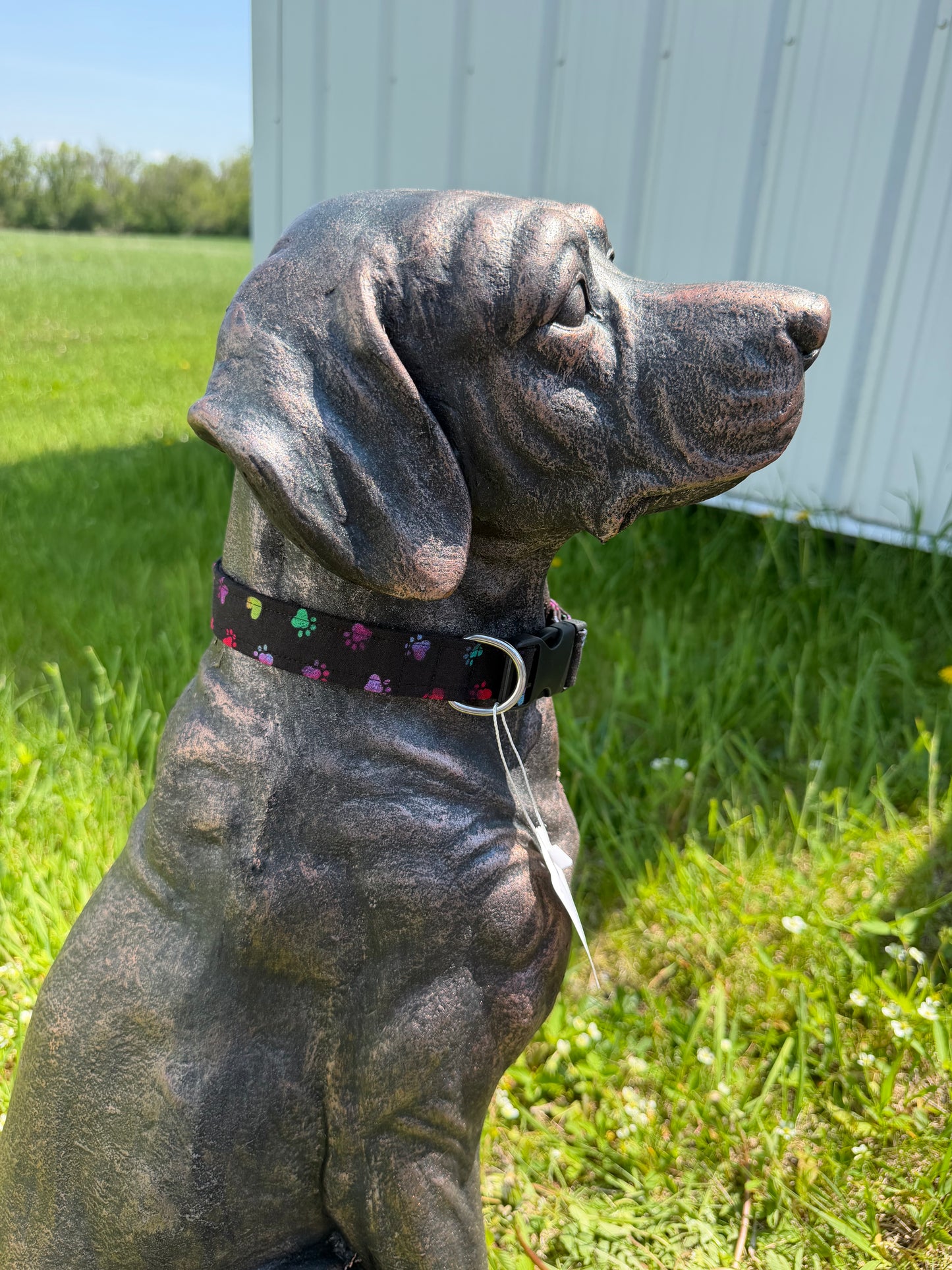 Black & Rainbow Tie Dye Paw Print Dog Collar