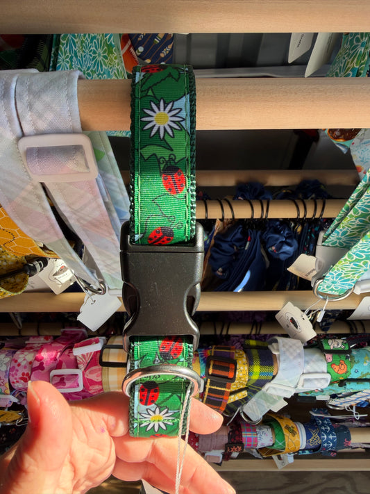 Ladybug dog collar