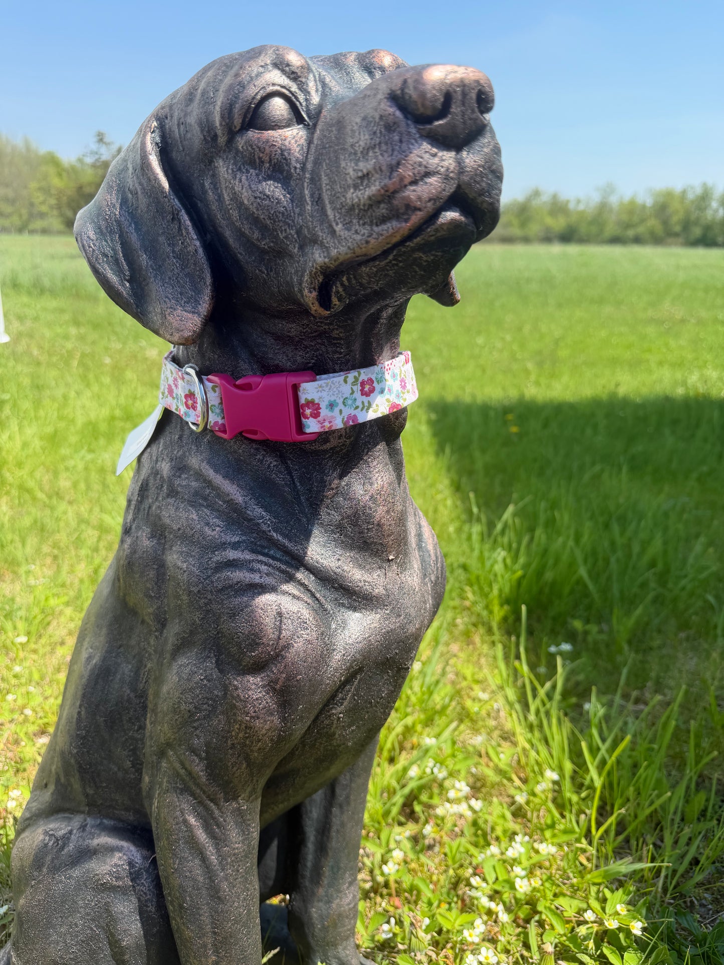 Light Pink Floral Dog Collar