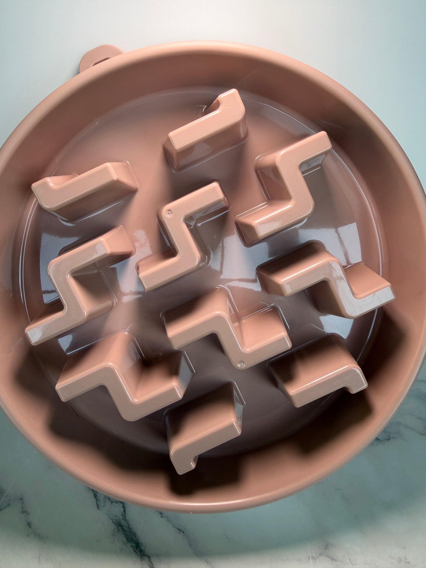 Slow feeder bowl