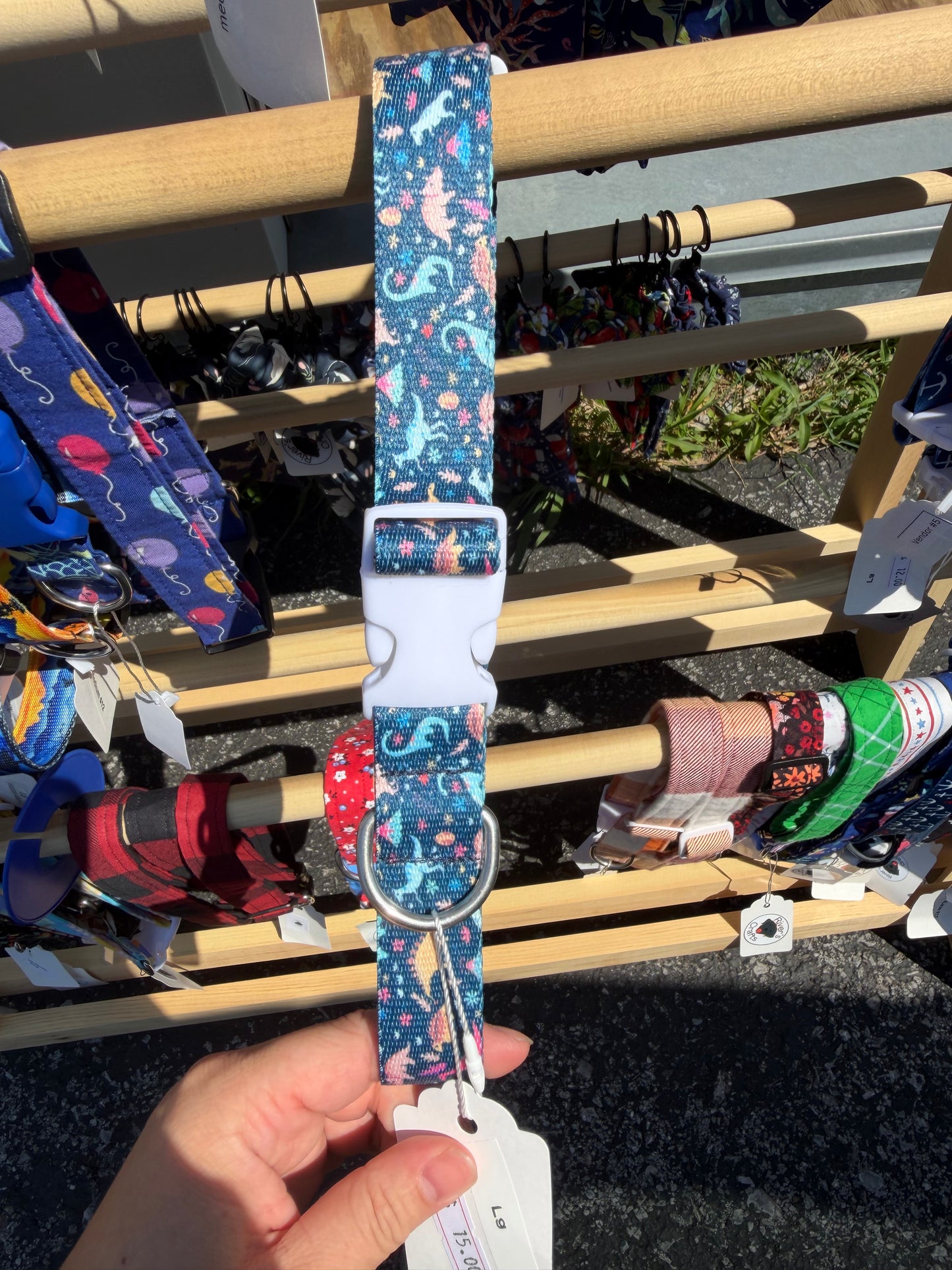 Dinosaur Nylon webbing dog collar