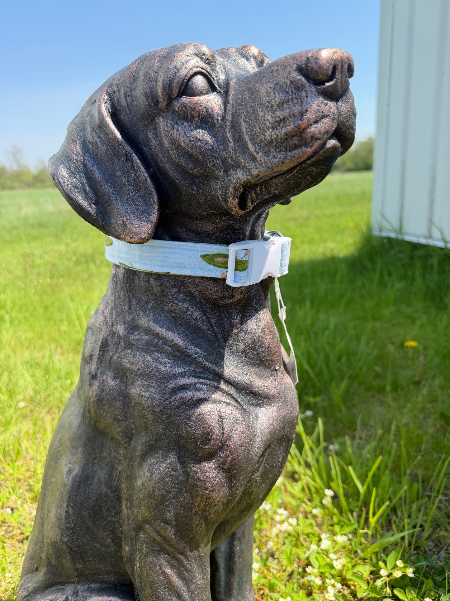 Light Blue Kayak Dog Collar