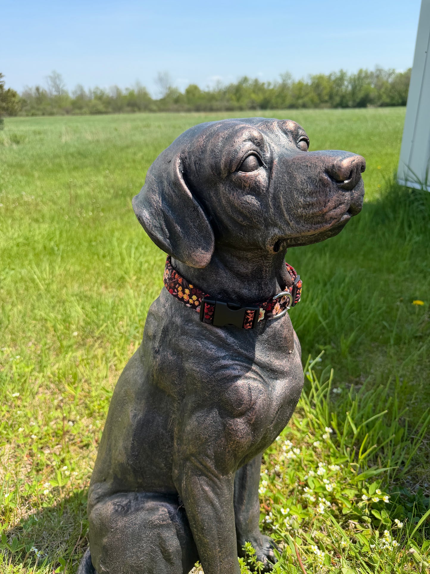 Black Floral Dog Collar