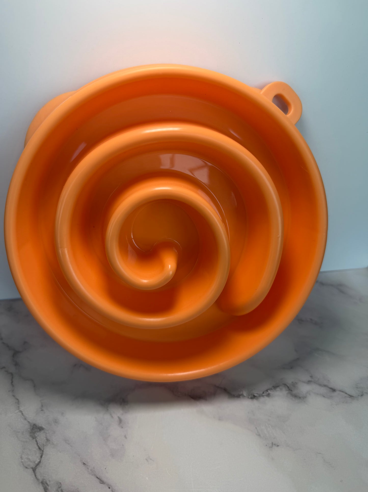 Slow feeder bowl