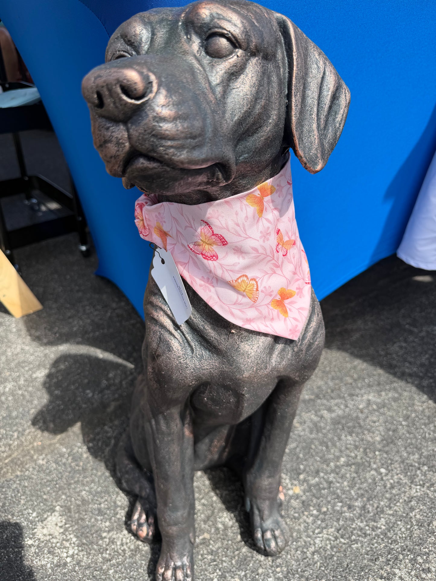 Pink Butterfly Scrunchie Dog Bandana