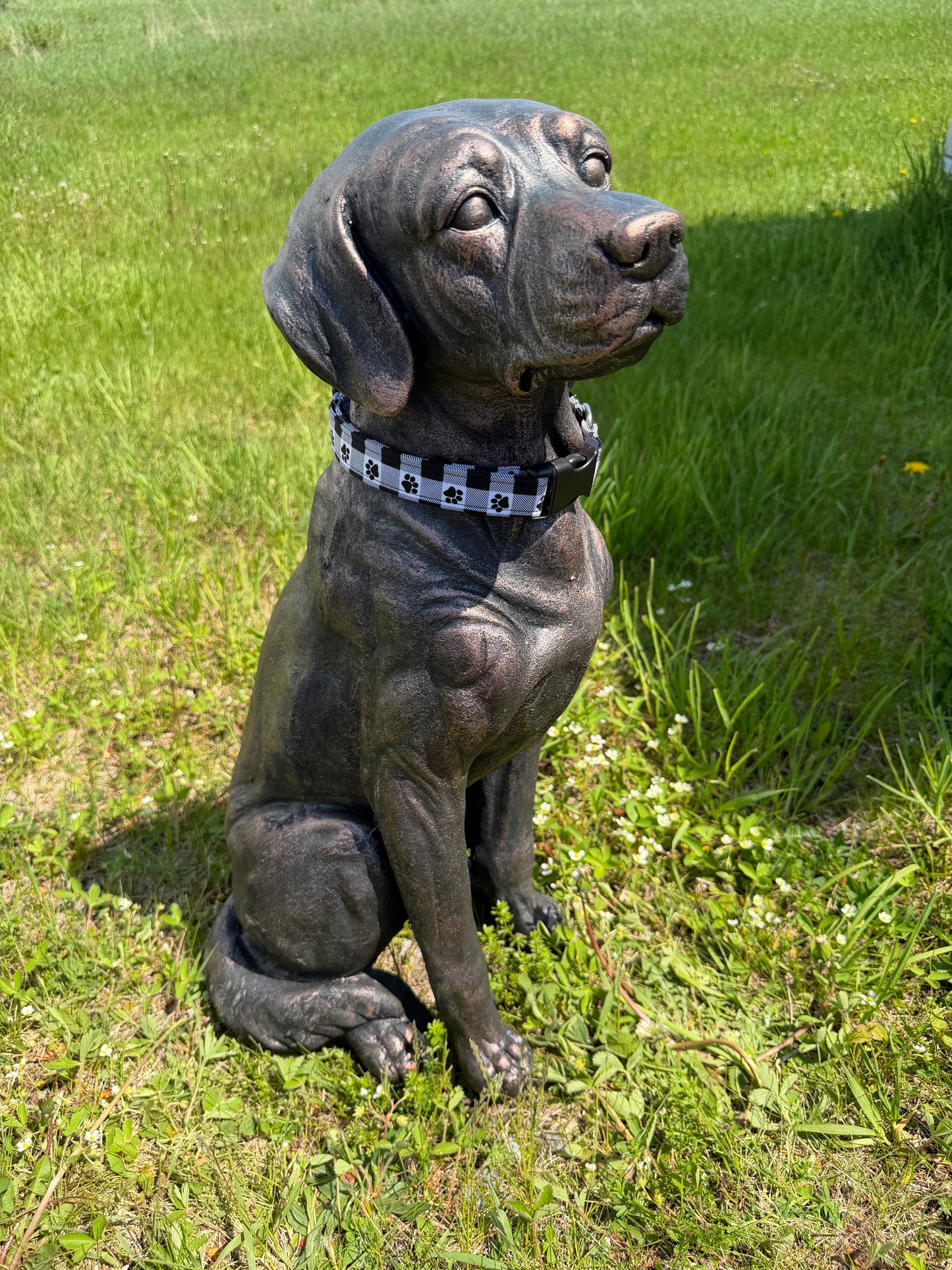Black Paw Print Plaid Dog Collar
