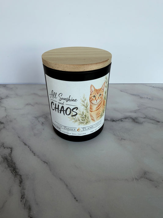 All Sunshine and Chaos Ginger Cat Vanilla Candle