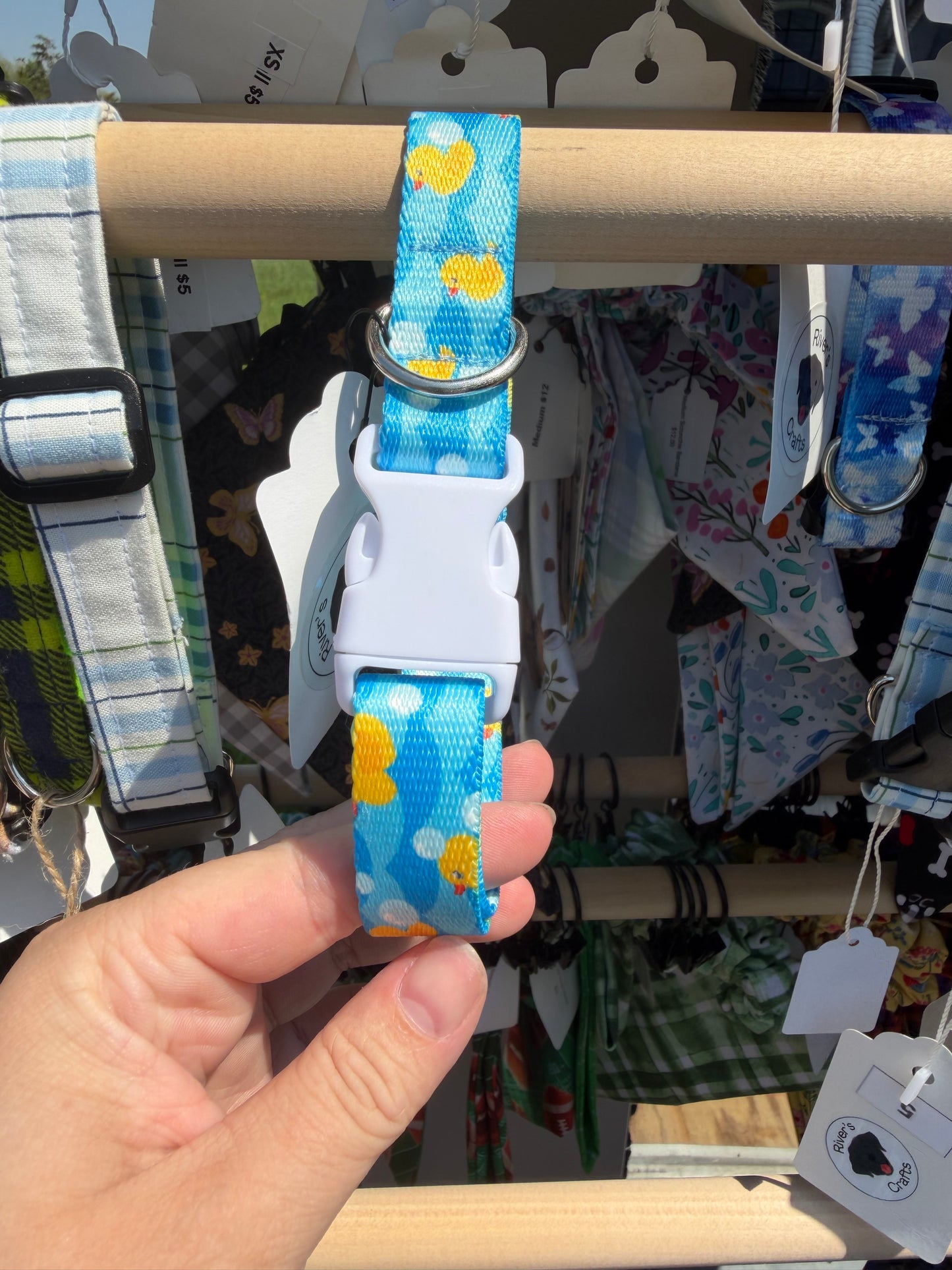 Rubber Ducky Nylon Webbing Dog Collar