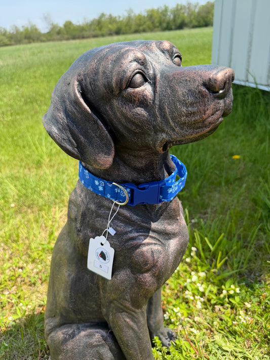 Royal Blue Floral Dog Collar