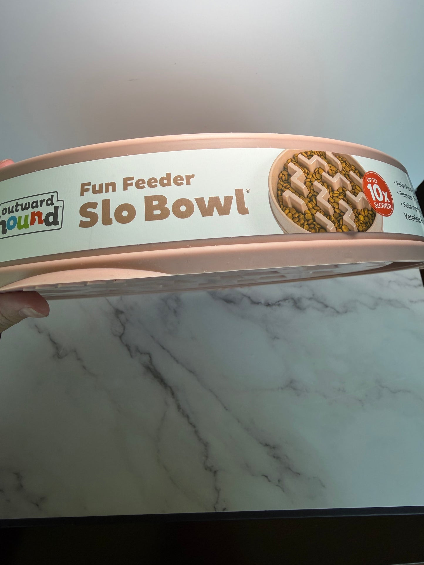 Slow feeder bowl