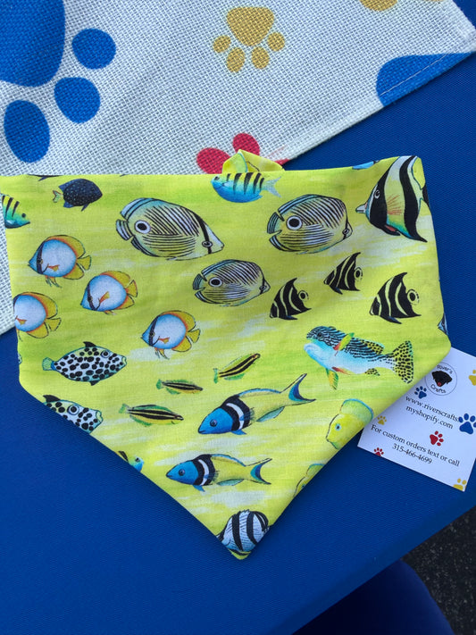 Yellow Fish Scrunchie dog bandana
