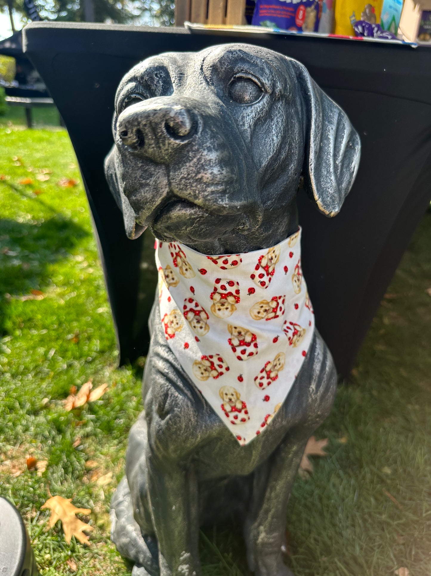 Golden retriever lady bug scrunchie bandana